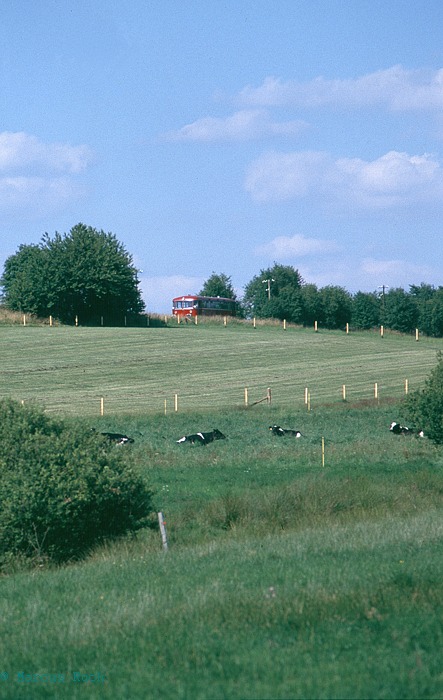 Reinsfeld