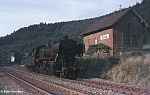 Pluwig 1974