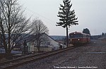 Reinsfeld