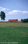 VT 55
