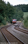 VT 55